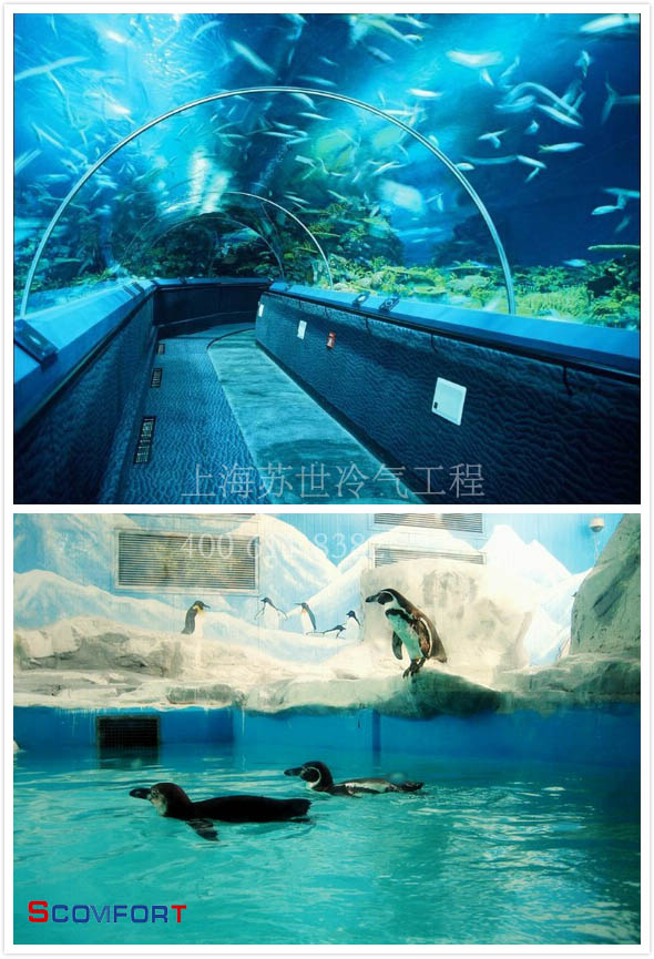 水族館保溫庫 恒溫庫 021-66105069 嚴格把控溫度