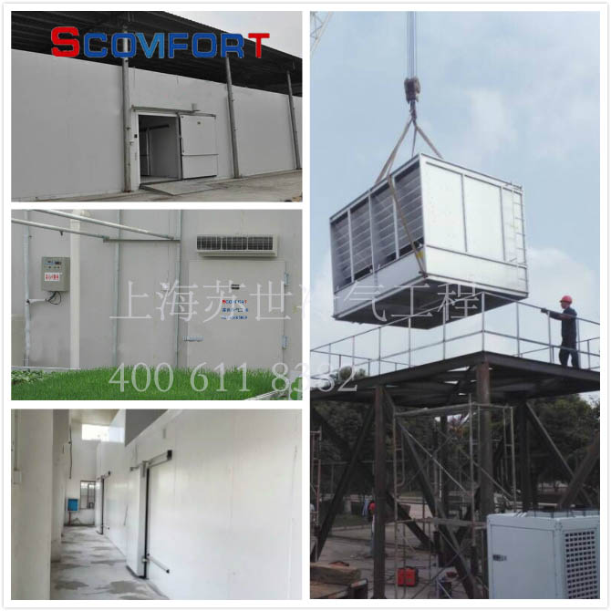 蘇世冷庫行業(yè)的標(biāo)桿 021-66105069 蘇世冷庫行業(yè)的標(biāo)桿 021-66105069